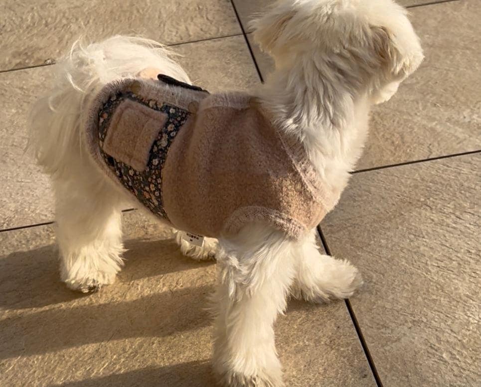 NKpup Angora Fleece Dog Vest in beige with floral pattern accents
