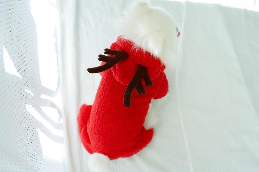 Reindeer Fleece Onesie, S-XL, Christmas Costume Dog, Dog T-shirt, Dog Top, Dog Clothing, Dog Fashion, Dog Appare - NKpup