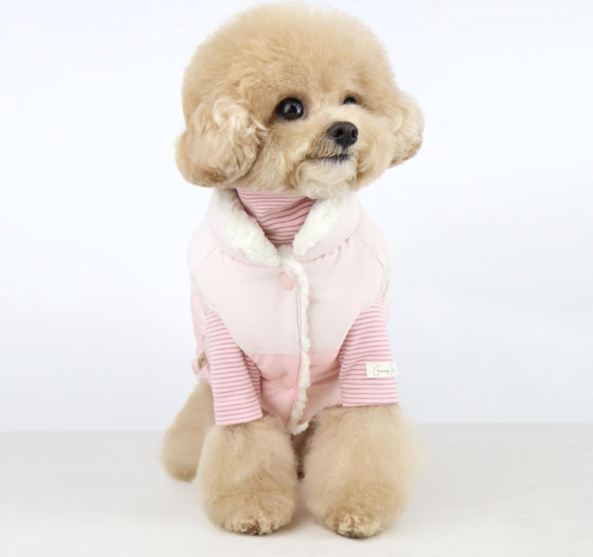 Pink reversible snow bear padded dog vest with white faux fur trim and pink striped undershirt