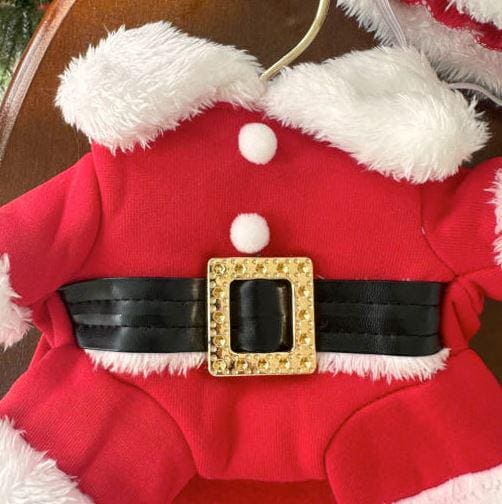 Red Christmas Santa dog costume with white faux fur trim and a black belt with a gold buckle.