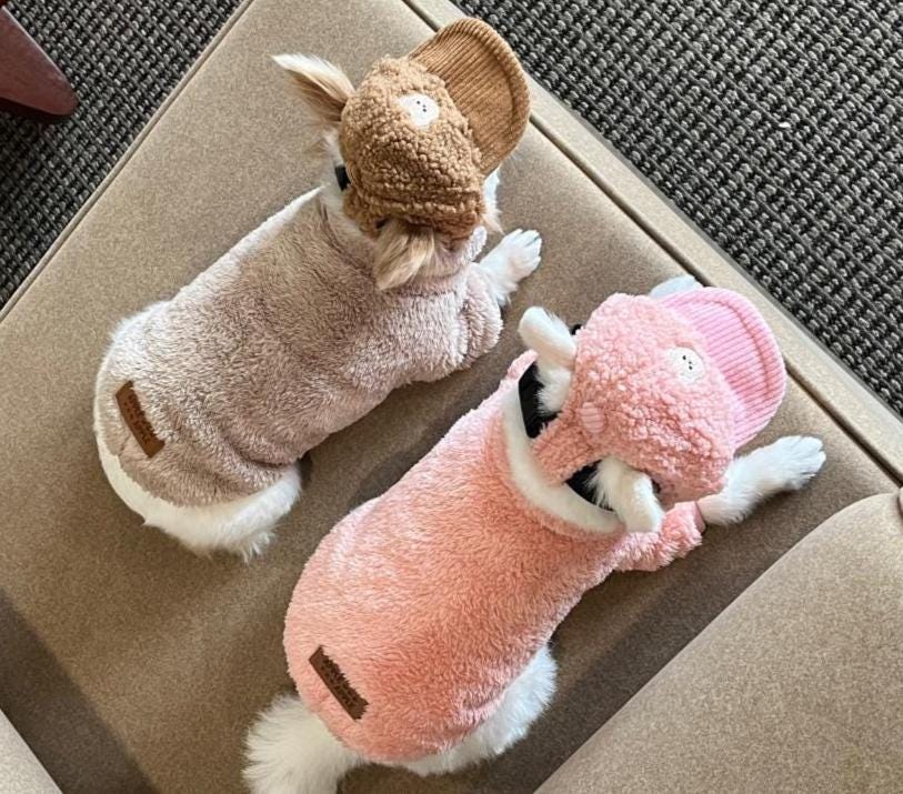NKpup Teddy Fleece Caps in brown and pink for pets