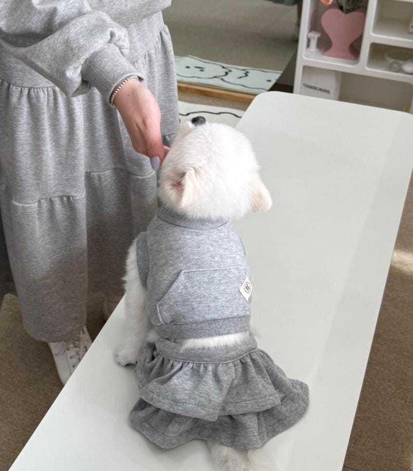 Two Piece Ruffle Skirt Dress Set, S-2XL, Small Dog Clothes, Dog Dress, Dog Outfit, Dog Apparel, Pet Clothing, NKPUP - NKpup