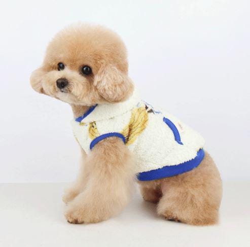 NKpup Cap Duo Fleece Dog Hoodie in white with blue trim and yellow pattern