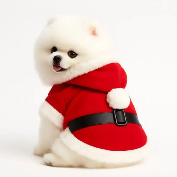 Santa Paws Dog Hoodie