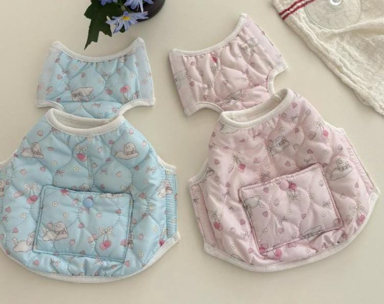 Bunny Pocket Padded Dog Vest in light blue and pink with cute bunny and strawberry patterns.