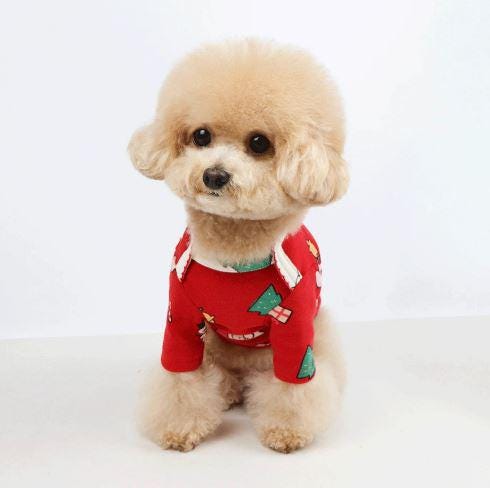 Red Christmas Santa dog shirt with green tree patterns