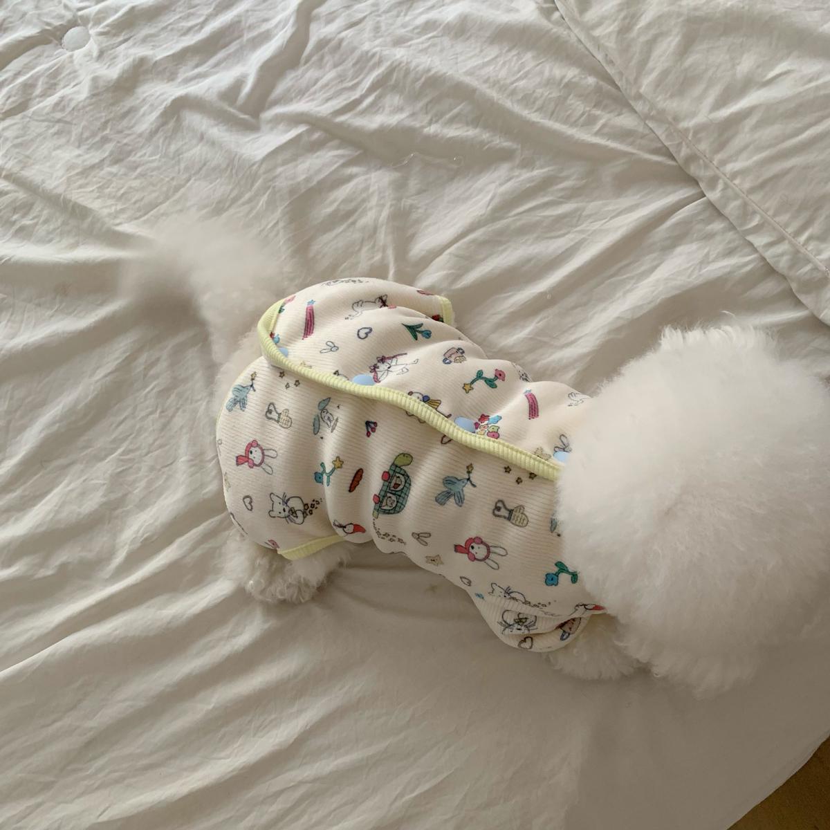 Soft Illustrated Overall, S-2XL, Dog Romper, Dog Jumpsuit, Dog Pants, Small Dog Clothes, Dog Apparel, NKPUP - NKpup