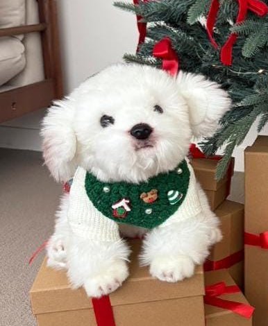 Christmas crochet dog cape and hat set in green with festive patterns by NKpup