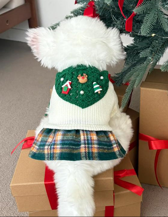 Christmas crochet dog cape and hat set featuring a green wreath pattern on a white sweater
