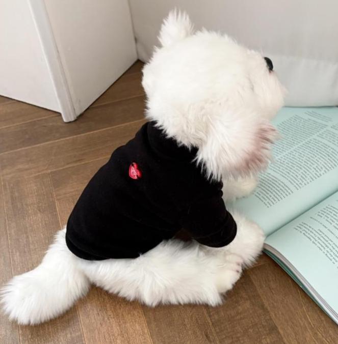 Heart Mock Neck Tee, S-2XL, Small Dog Clothes, Ultra Lightweight Dog Top, Dog Top, Dog Knit, NKPUP - NKpup