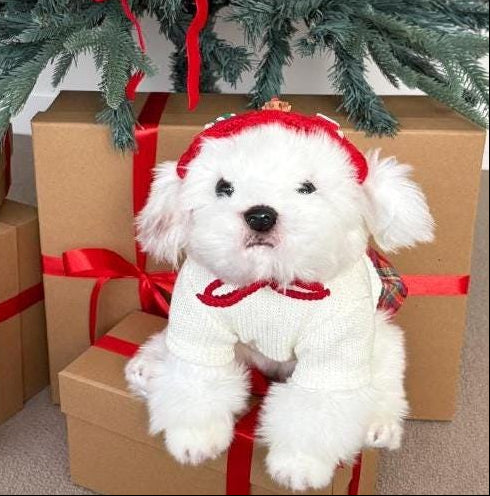 Christmas crochet dog cape and red Santa hat set
