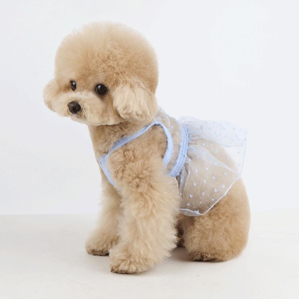 Lace Dress, S-2XL, Dog-dress, Dog Top, Dog Clothing, Dog Fashion, Dog Apparel - NKpup