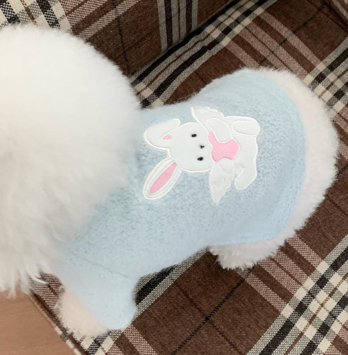 Angel Bunny Knit Dog Sweater in light blue with white bunny embroidery