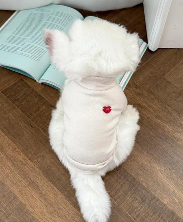 Heart Mock Neck Tee, S-2XL, Small Dog Clothes, Ultra Lightweight Dog Top, Dog Top, Dog Knit, NKPUP - NKpup