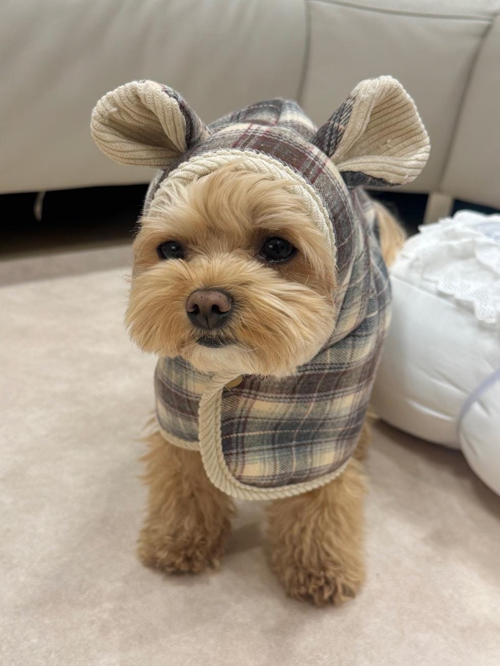 NKpup plaid cape dog vest in grey and beige with cute animal ear hood design