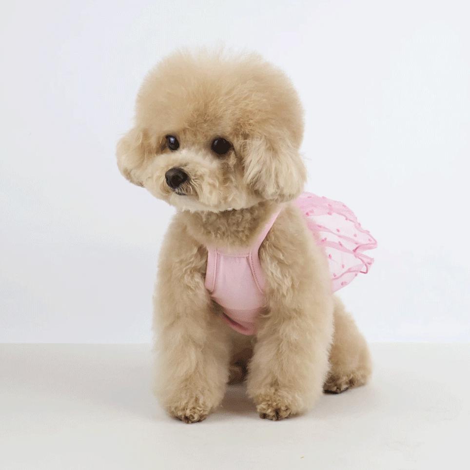 Lace Dress, S-2XL, Dog-dress, Dog Top, Dog Clothing, Dog Fashion, Dog Apparel - NKpup