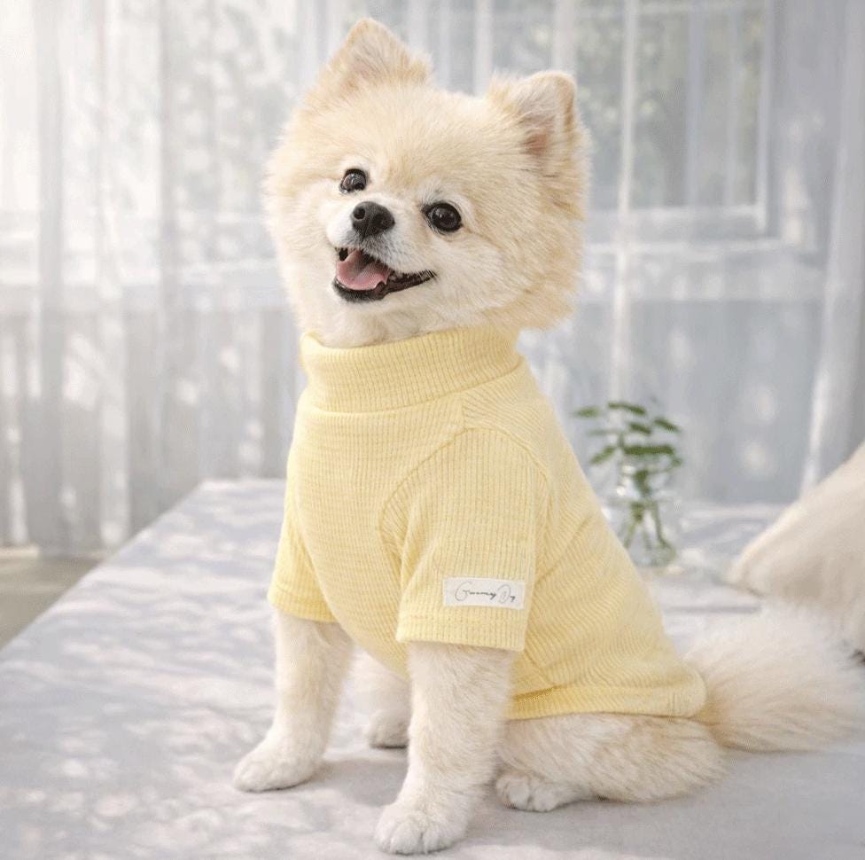 Soft Waffle Knit Top, S-2XL, Small Dog Clothes, Dog Essential Tee, Dog T-shirts, Dog Top, NKPUP - NKpup