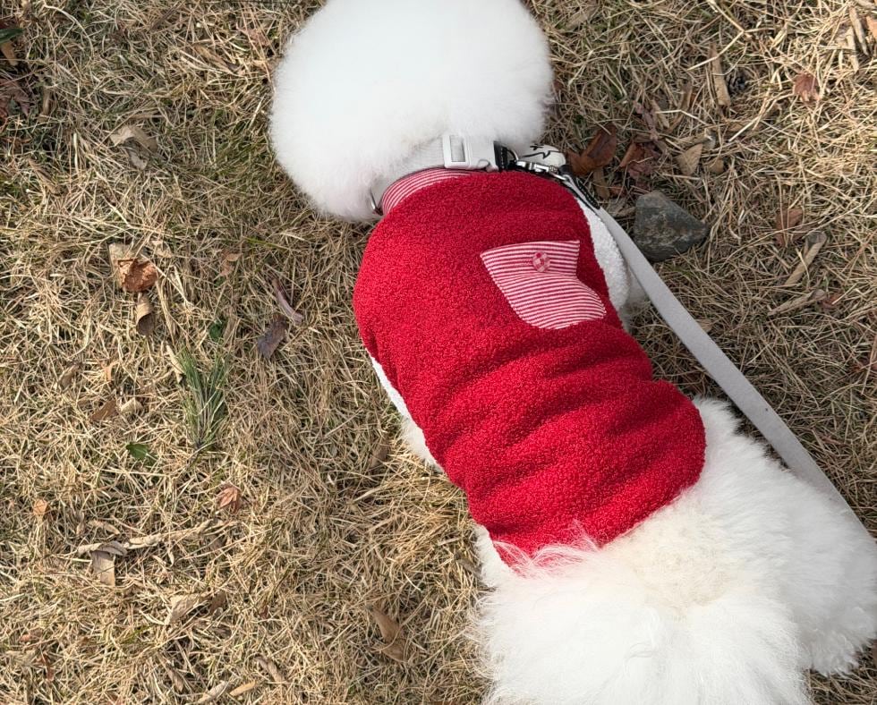 Terry Pocket Pullover Top, S-2XL, Small Dog Clothes, Cozy Dog Top, Dog Knit, NKPUP - NKpup