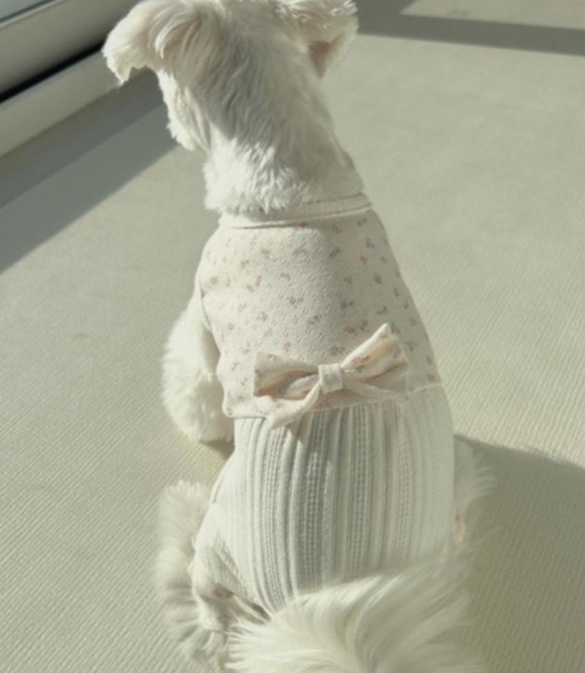 Floral Bow Knit Overall, XS-2XL, Pet Pants, Dog Jumpsuit, Dog Winter Outfit, Dog Fashion - NKpup