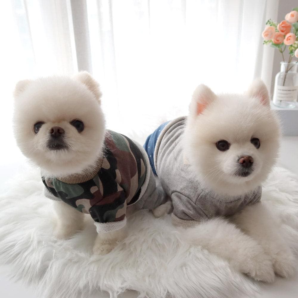 Casual Crop Sweatshirt, S-XL, Pet Clothing, Dog-Tee, Dog check-shirt, Dog Top, Dog Clothing, Dog Fashion, Dog Long sleeves - NKpup