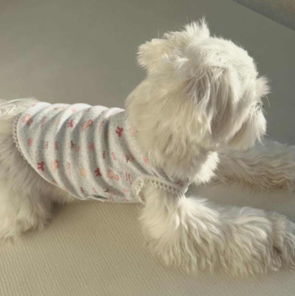 Sweet Ribbon Lace Top, XS-2XL, Dog-Tee, Dog T-shirt, Dog Top, Dog Clothing, Dog Fashion, Dog Apparel, Undershirt for Dogs - NKpup