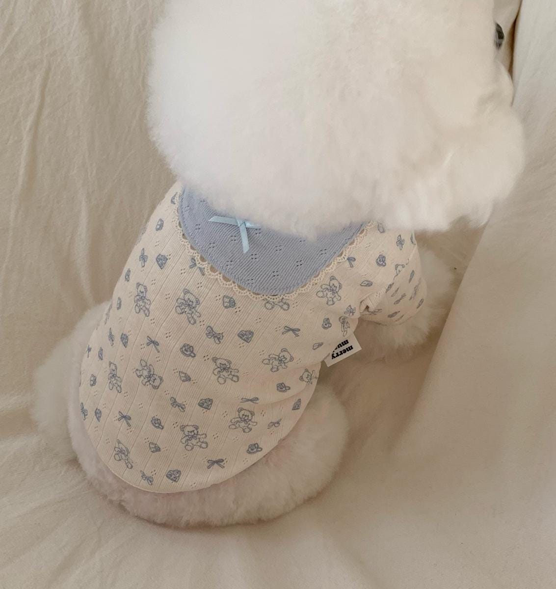 Eyelet Bib Collar Top, S-2XL, Small Dog Clothes, Dog Essential Tee, Dog T-shirts, Dog Top, NKPUP - NKpup
