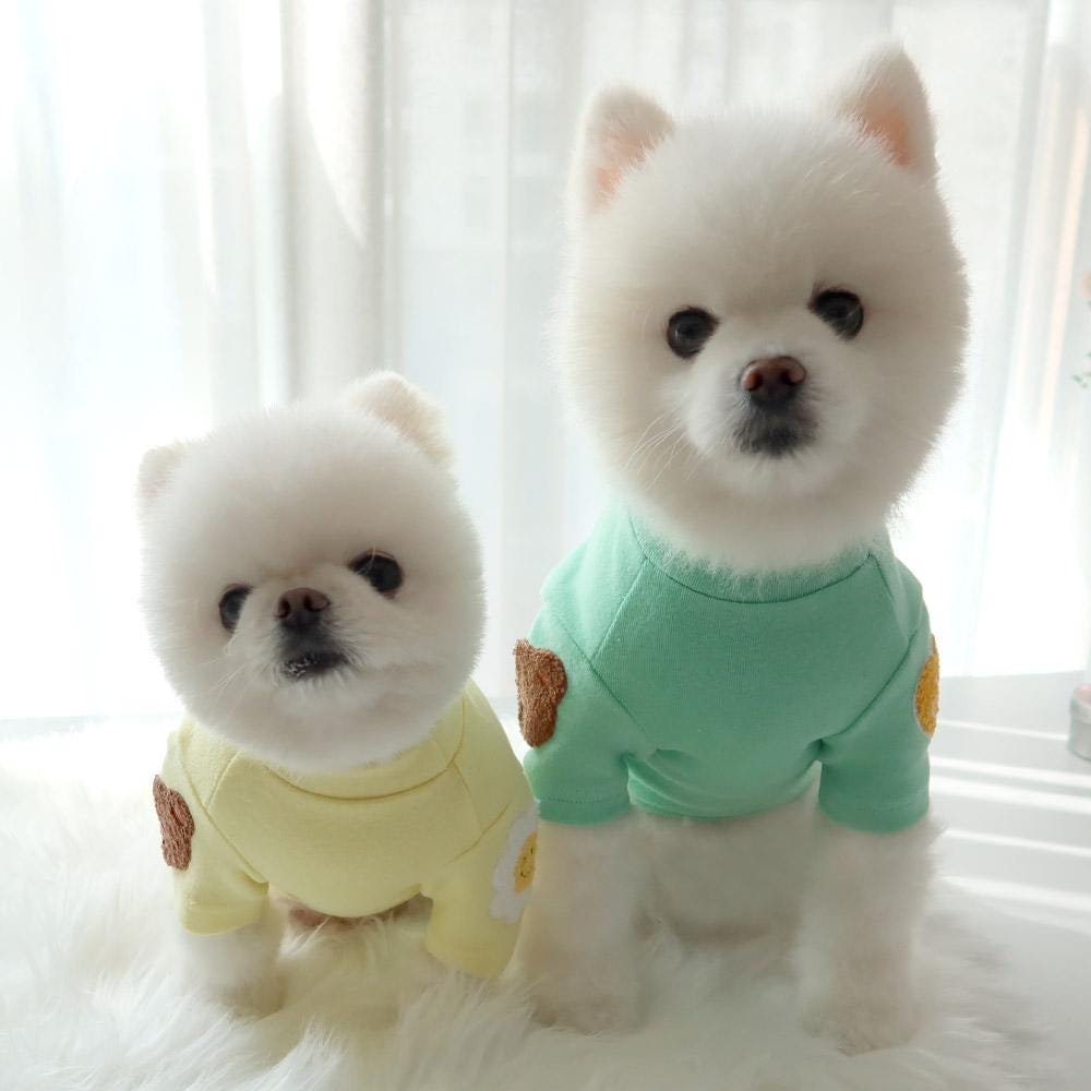Patch Detail Dog Sweatshirt, S-2XL, Small Dog Clothes, Dog Essential Tee, Dog T-shirts, Dog Top, NKPUP - NKpup