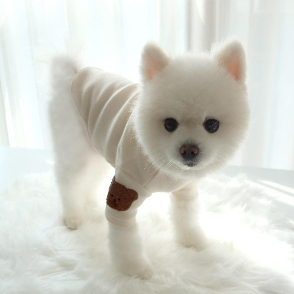 Patch Detail Dog Sweatshirt, S-2XL, Small Dog Clothes, Dog Essential Tee, Dog T-shirts, Dog Top, NKPUP - NKpup