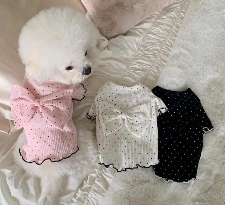 Polka Dot Bow Top, S-XL, Small Dog Clothes, Pet Sweater, Winter Dog Top, Dog Knit, NKPUP - NKpup