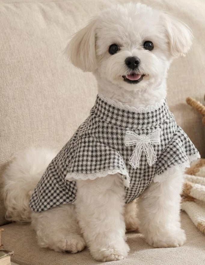 NKpup black and white gingham dog top featuring a lace bow and lace trim edges
