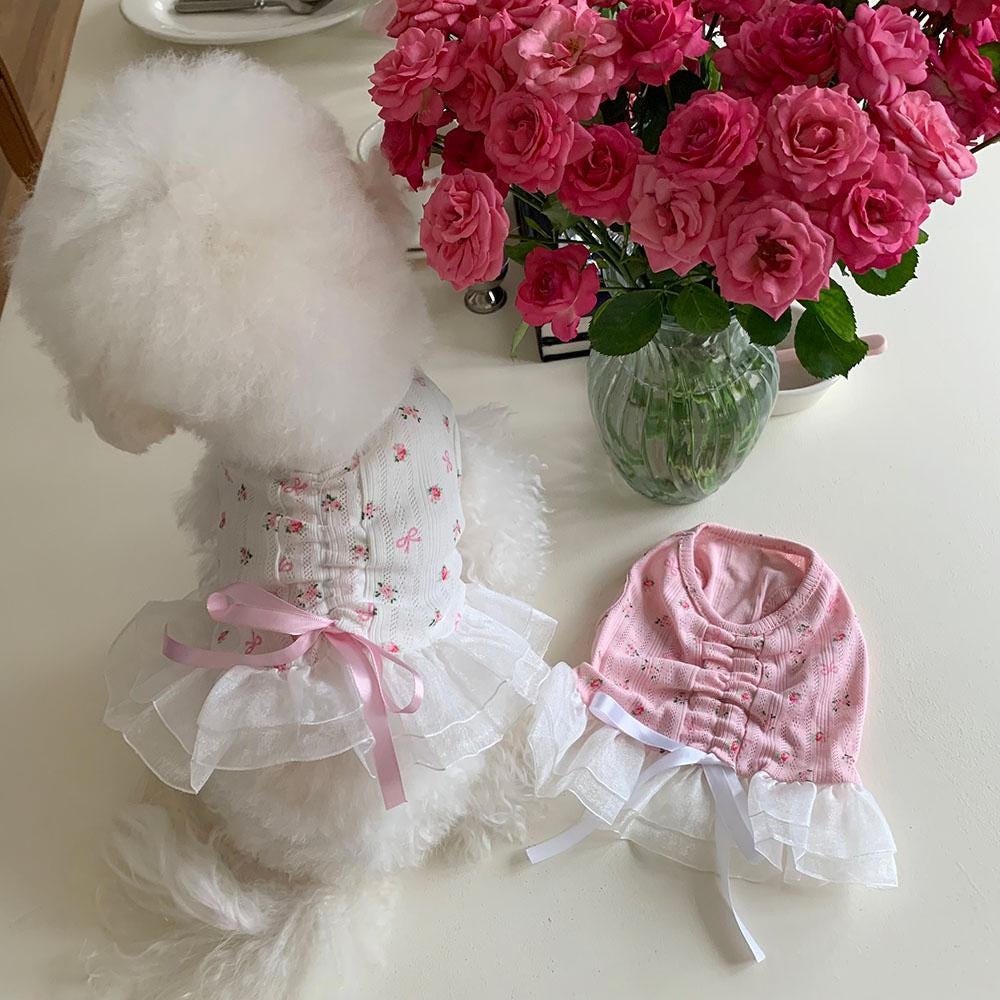 Floral Ribbon Tulle Dress S-XL, Small Dog Clothes, Dog Dress, Dog Wedding, Dog Luxury Dress, NKPUP - NKpup