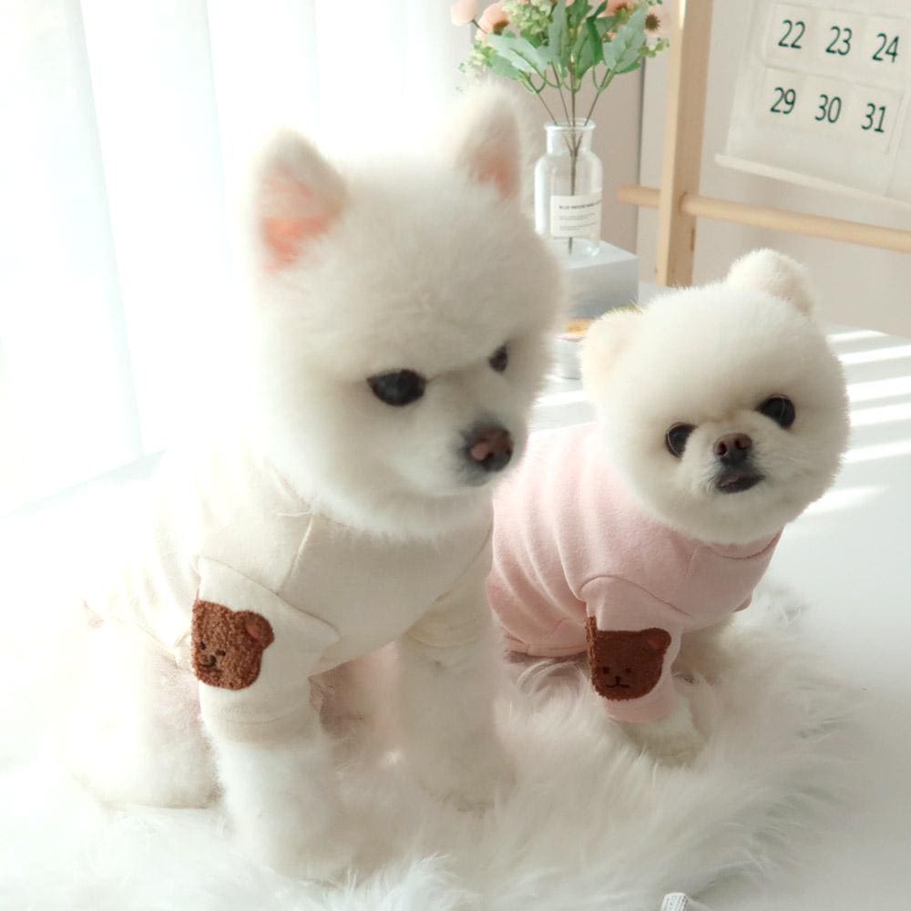 Patch Detail Dog Sweatshirt, S-2XL, Small Dog Clothes, Dog Essential Tee, Dog T-shirts, Dog Top, NKPUP - NKpup