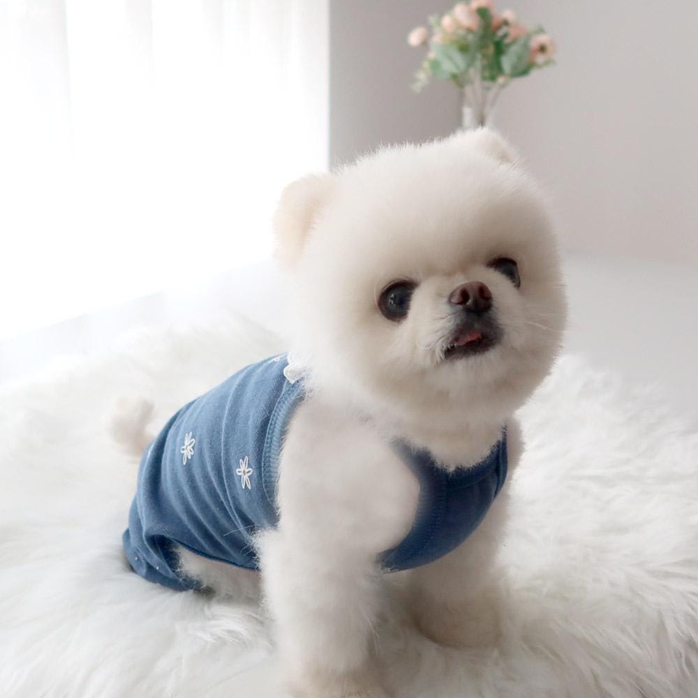 Daisy Lace Collar Overall, S-XL, Pet Pants, Dog Jumpsuit, Pet Clothing, Dog Coat, Dog Outfit, Dog Apparel, Small Dog Clothes - NKpup