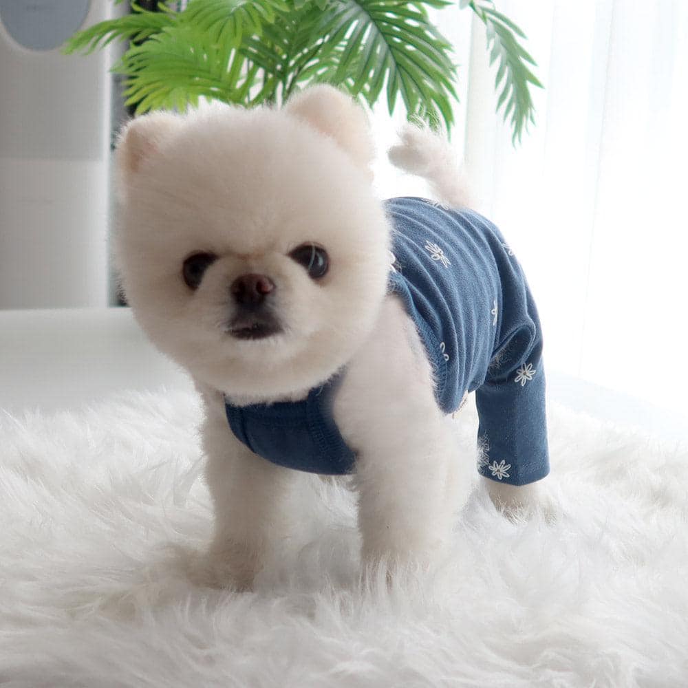 Daisy Lace Collar Overall, S-XL, Pet Pants, Dog Jumpsuit, Pet Clothing, Dog Coat, Dog Outfit, Dog Apparel, Small Dog Clothes - NKpup