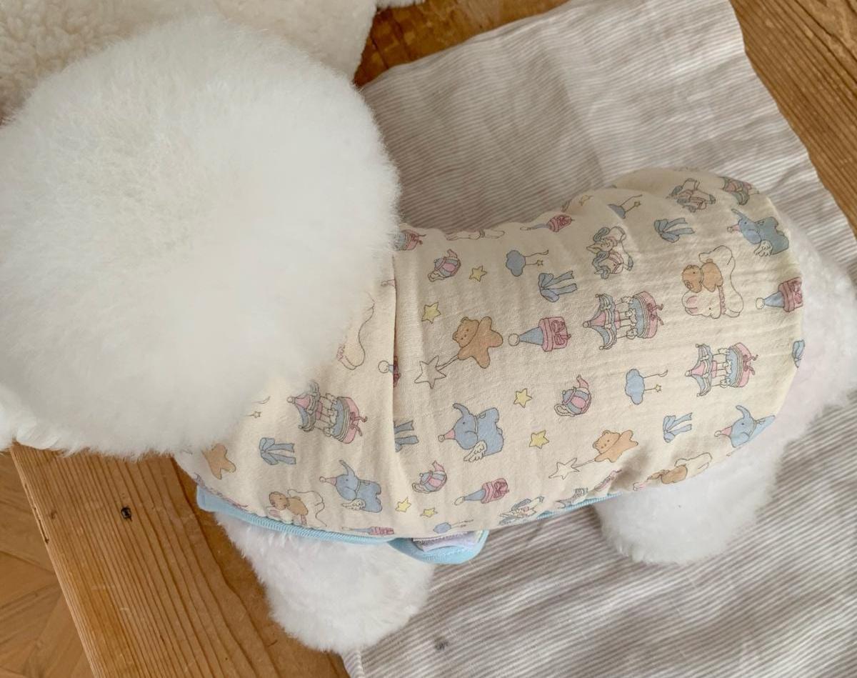 Carousel Bear Vest, S-2XL, Small Dog Clothes, Dog Cute Vest, Dog Cozy Outfit, Dog Knit, Gift for Furry Friends, NKPUP - NKpup