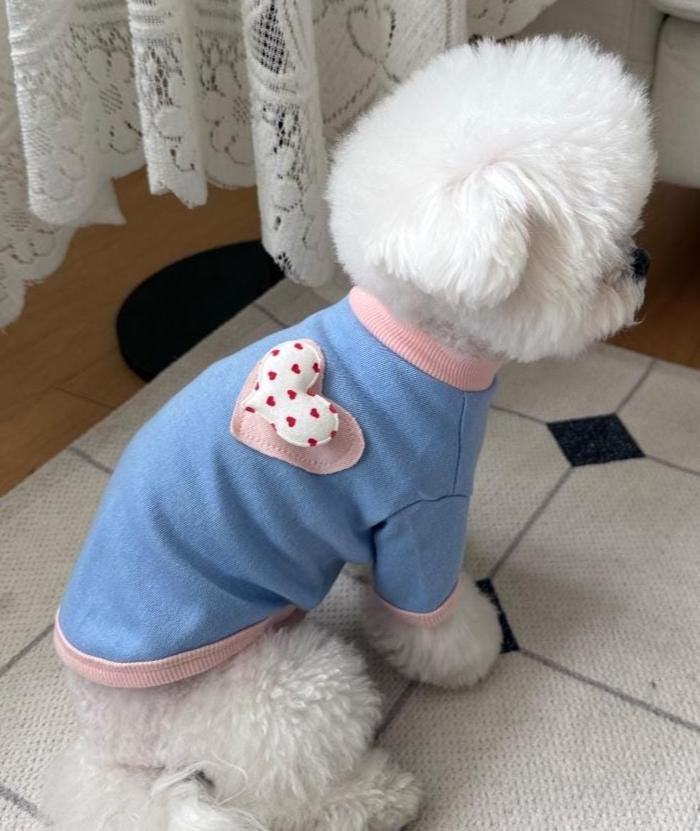 Sweet Heart Patch Sweatshirt, S-2XL, Small Dog Clothes, Dog Essential Tee, Dog T-shirts, Dog Top, NKPUP - NKpup