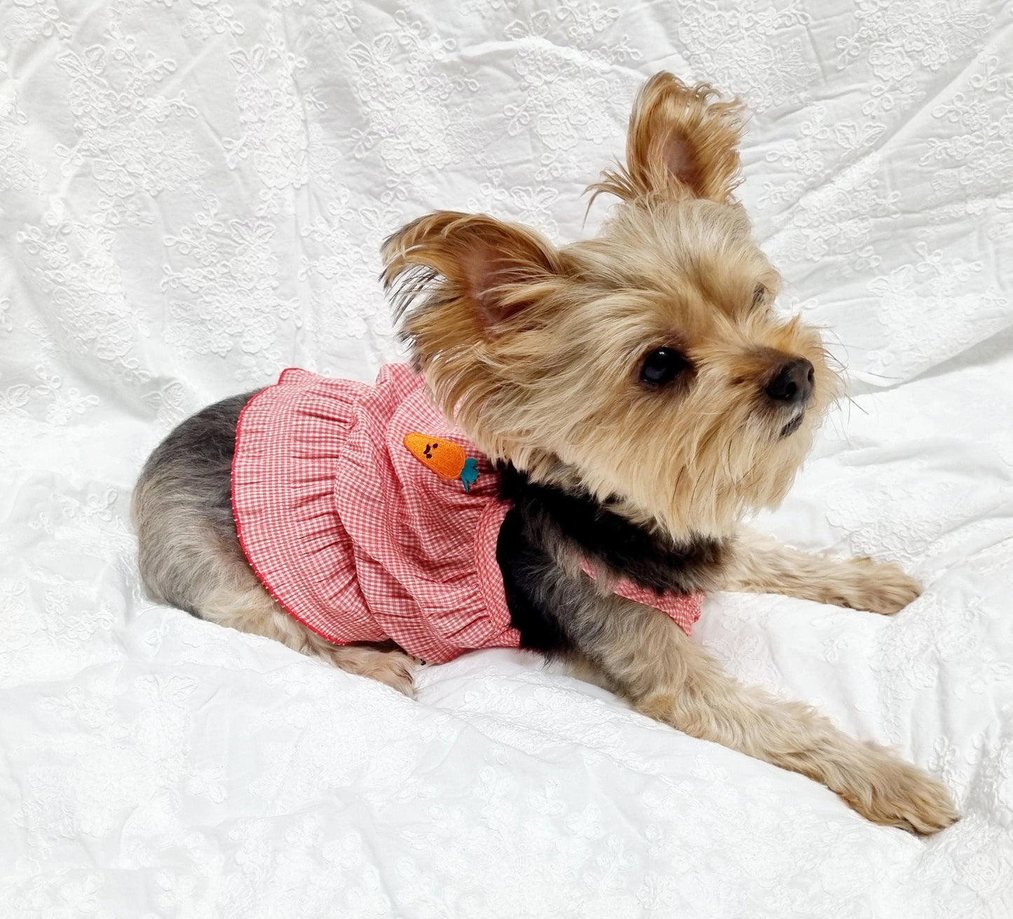Summer Crop Top, S-2XL, Dog-Tee, Dog T-shirt, Dog Top, Dog Clothing, Dog Fashion, Dog Apparel, Undershirt for Dogs - NKpup