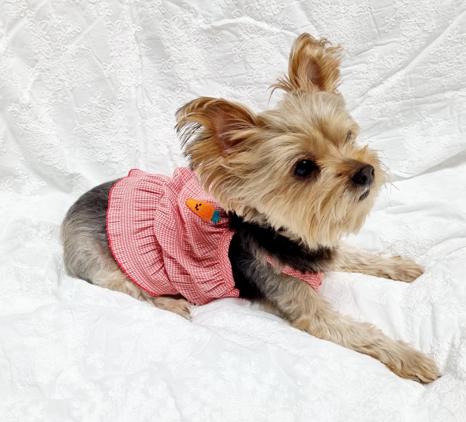 Summer Crop Top, S-2XL, Dog-Tee, Dog T-shirt, Dog Top, Dog Clothing, Dog Fashion, Dog Apparel, Undershirt for Dogs - NKpup
