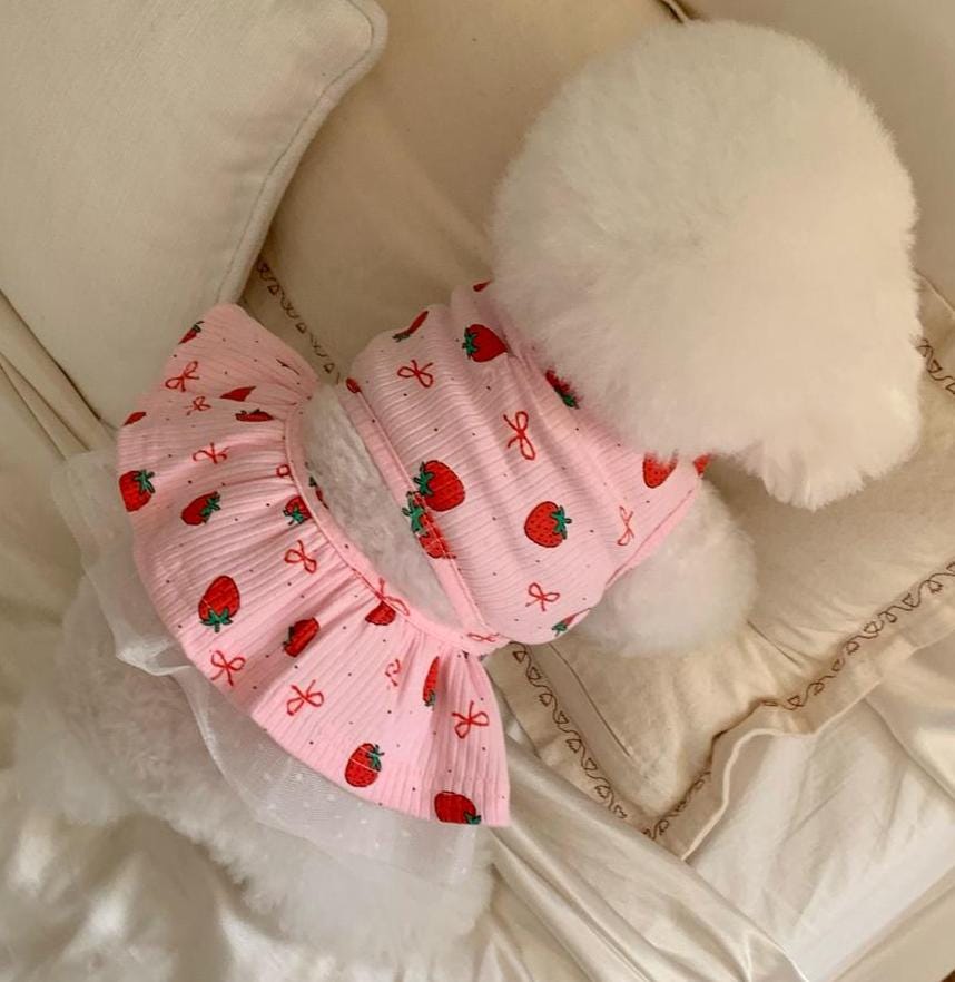 Strawberry Ribbed Dress, S-XL, Cute Dog dress, Dog Top, Dog Clothing, Small Dog Clothes, NKPUP - NKpup