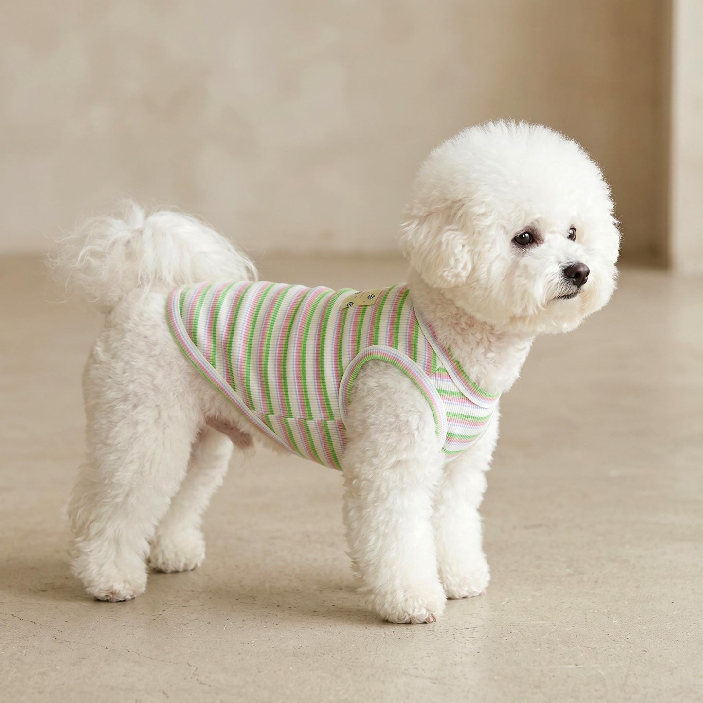 Fresh Stripe Top, S-2XL, Dog-Tee, Dog T-shirt, Dog Top, Dog Clothing, Dog Fashion, Dog Apparel, Undershirt for Dogs - NKpup