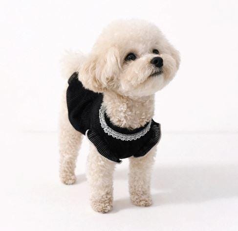 Simple Ribbed Blouse, S-XL, Small Dog Clothes, Pet Sweater, Winter Dog Top, Dog Knit, NKPUP - NKpup