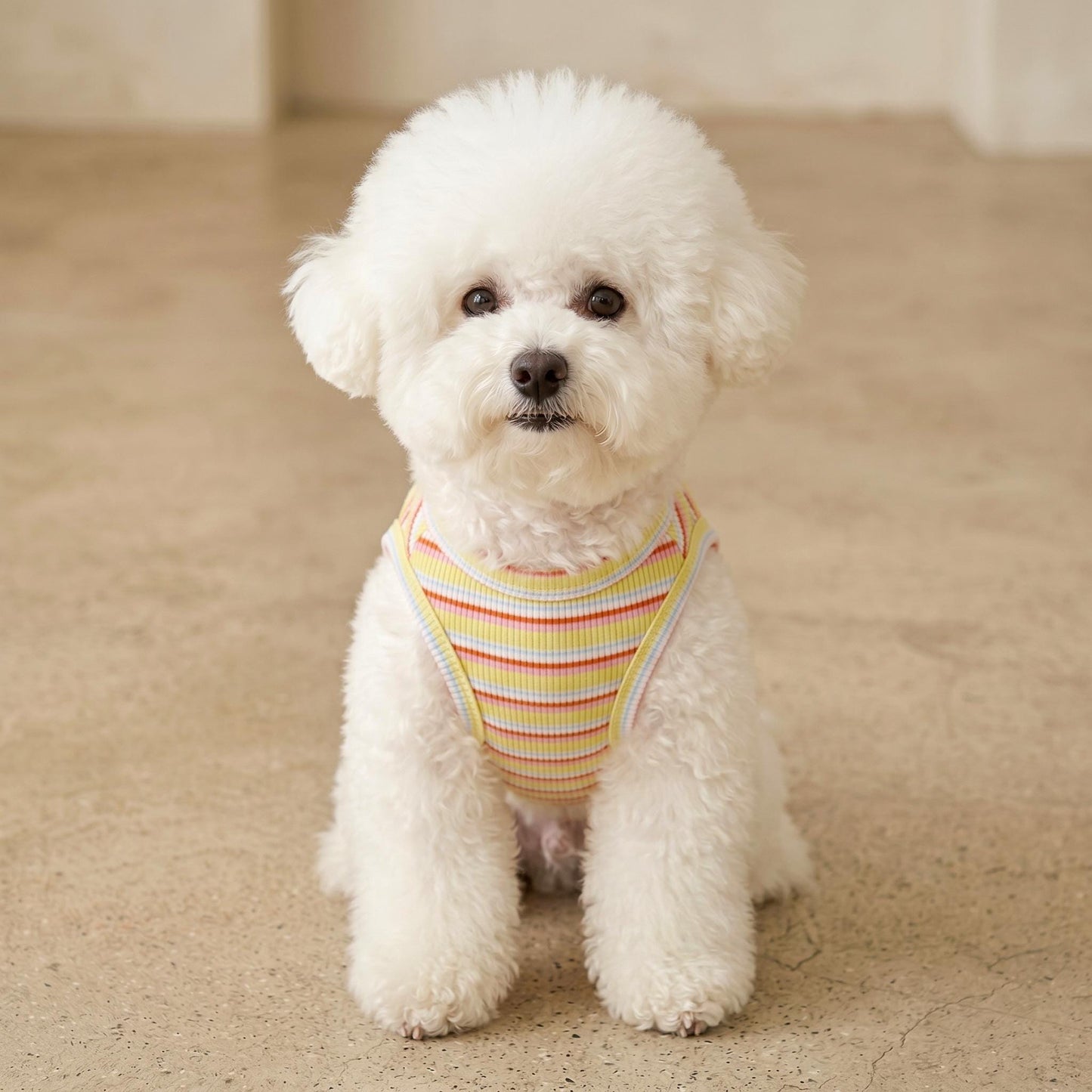 Fresh Stripe Top, S-2XL, Dog-Tee, Dog T-shirt, Dog Top, Dog Clothing, Dog Fashion, Dog Apparel, Undershirt for Dogs - NKpup