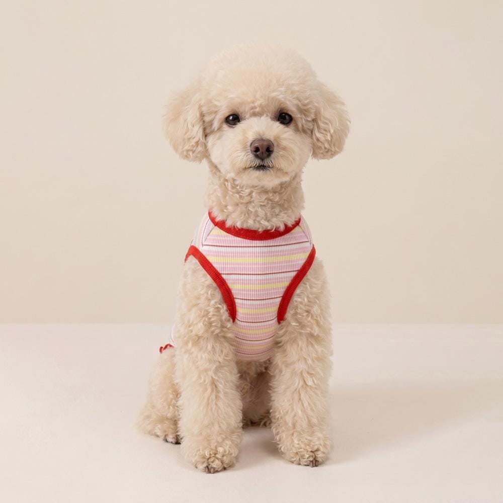 Pastel Stripe Top, S-2XL, Dog-Tee, Dog T-shirt, Dog Top, Dog Clothing, Dog Fashion, Undershirt for Dogs - NKpup