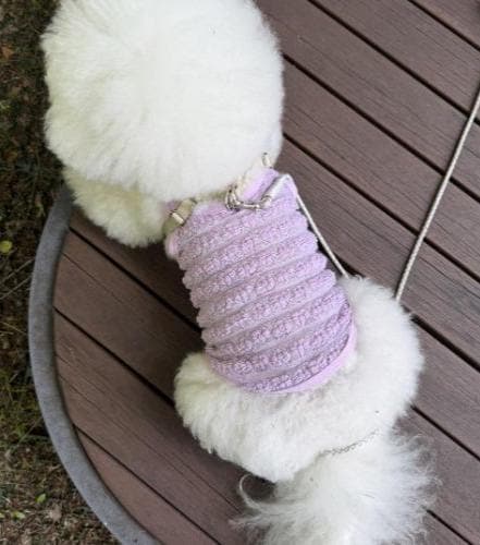 Floral Lace Tank, S-2XL, Pet Clothing, Dog-Tee, Dog check-shirt, Dog Top, Dog Clothing, Dog Fashion, Dog Long sleeves - NKpup