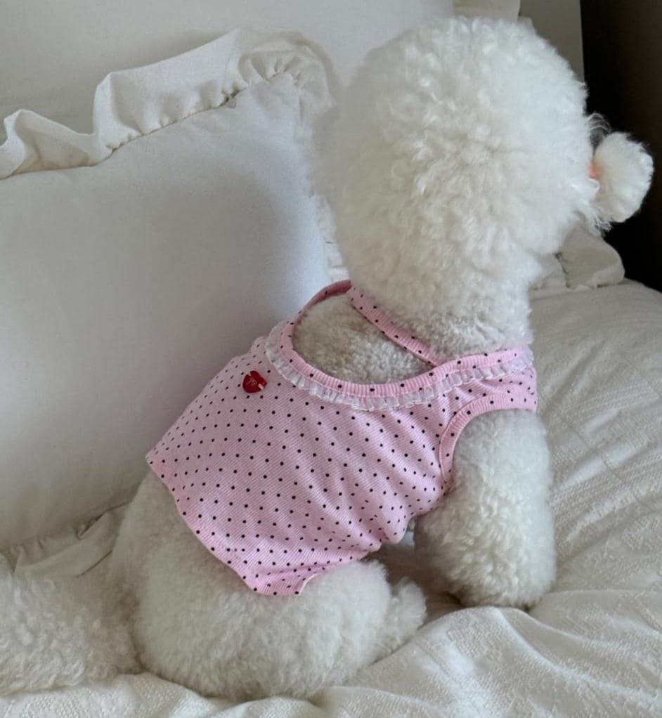 Polka Dot Heart Crop Top, S-2XL, Small Dog Clothes, Dog Essential Tee, Dog T-shirts, Dog Top, NKPUP - NKpup