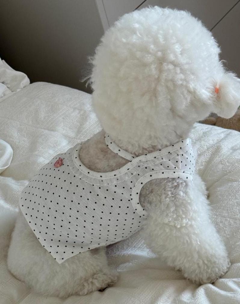 Polka Dot Heart Crop Top, S-2XL, Small Dog Clothes, Dog Essential Tee, Dog T-shirts, Dog Top, NKPUP - NKpup