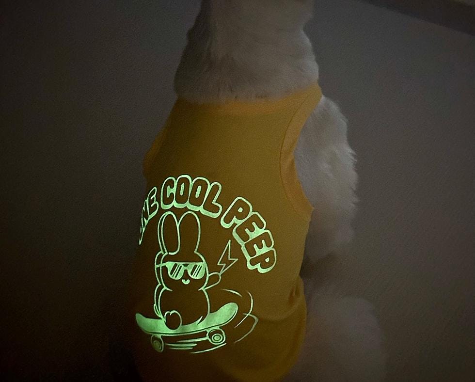 Luminous Cooling Sleeveless, S-2XL, Luminous Shirt, Dog-Tee, Dog T-shirt, Dog Top, Dog Clothing, Dog Fashion, Dog Apparel - NKpup