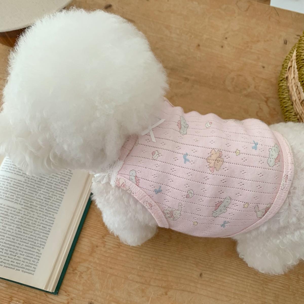Fairy Eyelet Lace Top, S-XL, Small Dog Clothes, Pet Sweater, All Day Dog Top, Dog Shirts, NKPUP - NKpup