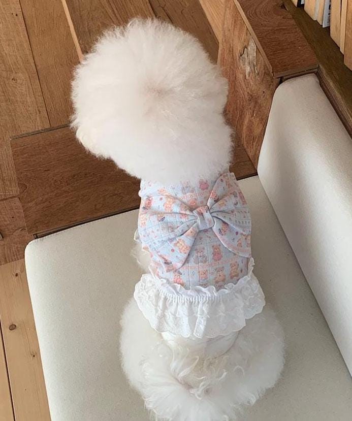 Sweet Bow Lace Dress, S-XL, Small Dog Clothes, Dog Dress, Dog Cute Dress, Pet Clothing, NKPUP - NKpup