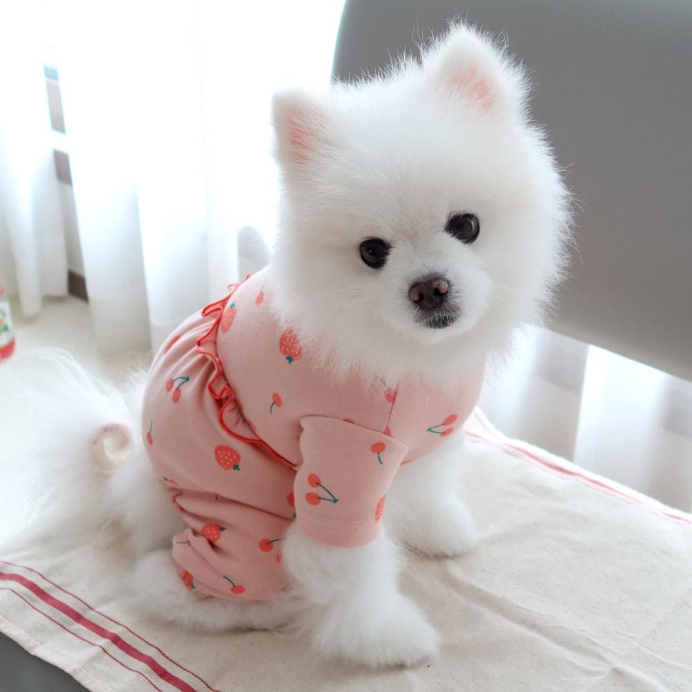 Strawberry Cherry Frill Overall, S-2XL, Dog Romper, Dog Jumpsuit, Dog Pants, Small Dog Clothes, Dog Apparel, NKPUP - NKpup